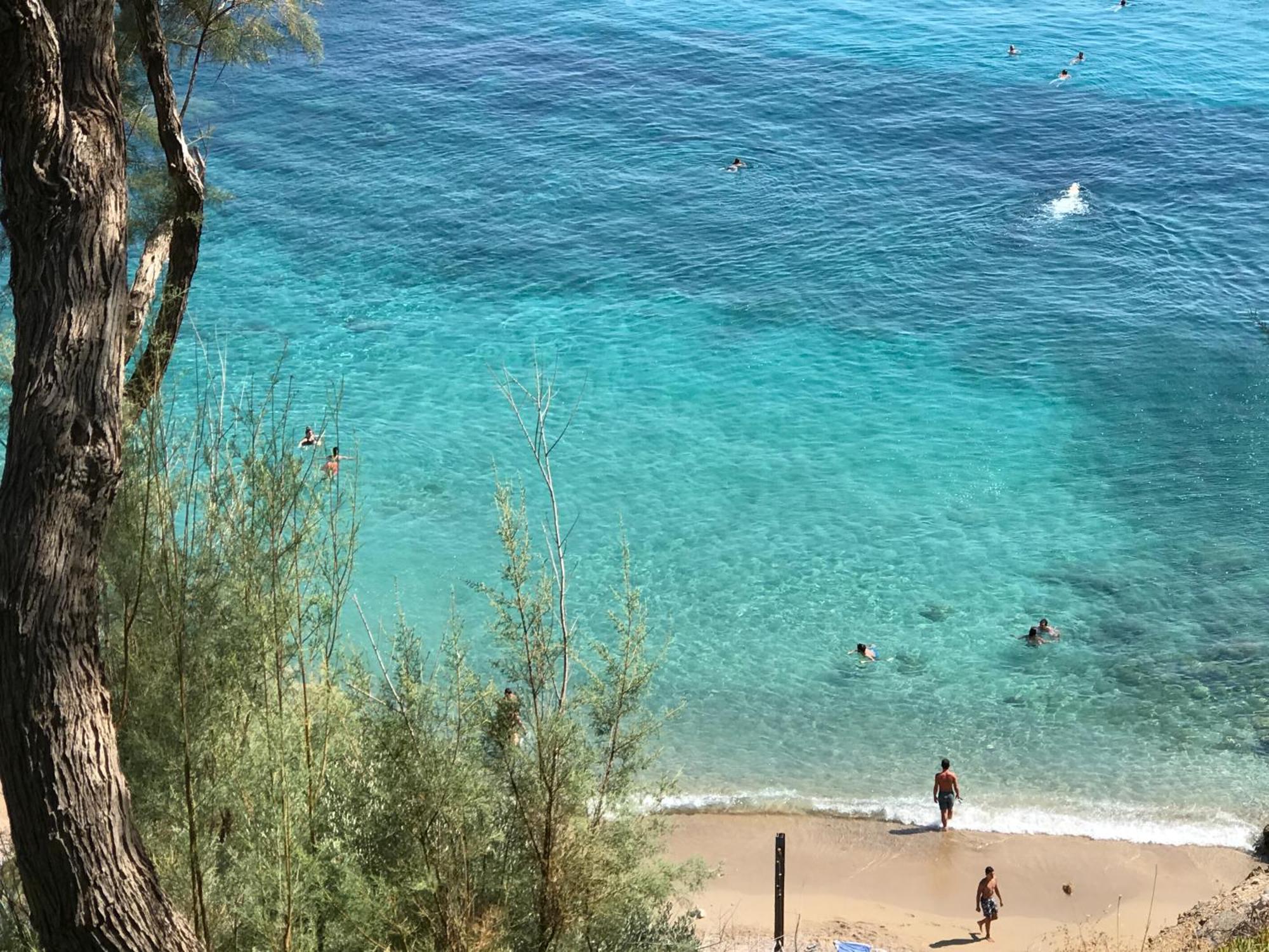 Mastiha Seaside Emporios Apartments エンポリオズ エクステリア 写真
